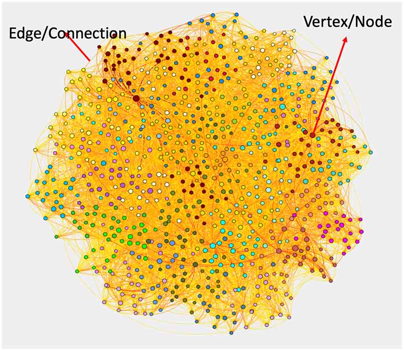 Vantage visualization representing a SNA network